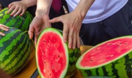 给免费吃瓜,揭秘娱乐圈幕后故事